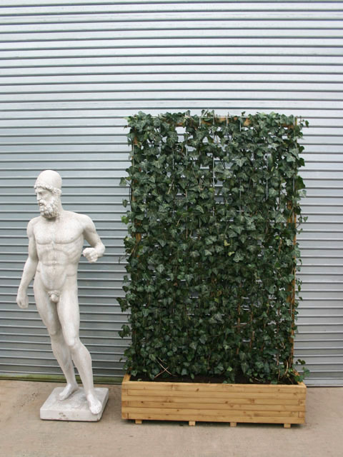 2m-tall-ivy-panel