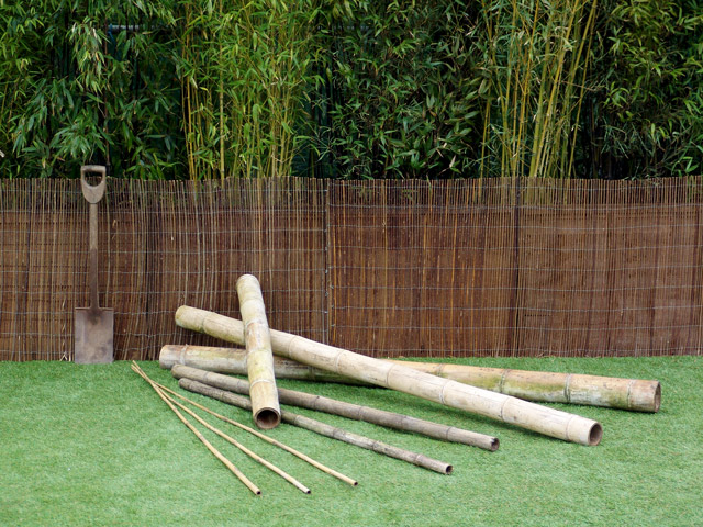 Palmbrokers Catalogue Fencing Trellis And Gates Bamboo Canes