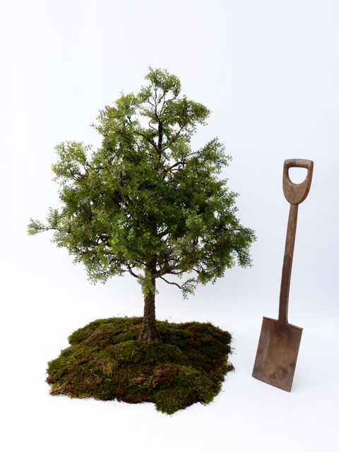 Scale-model-art-trees.-H130xW100cm