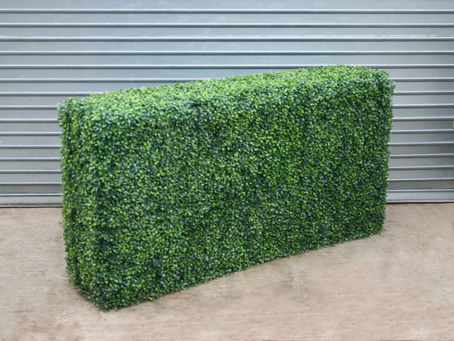 Artificial Box Hedges