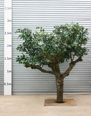 Artificial Orchard Tree