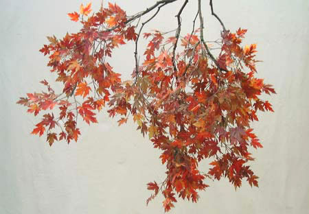 Autumn Branch