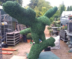 Topiary Sculptures - Eagle