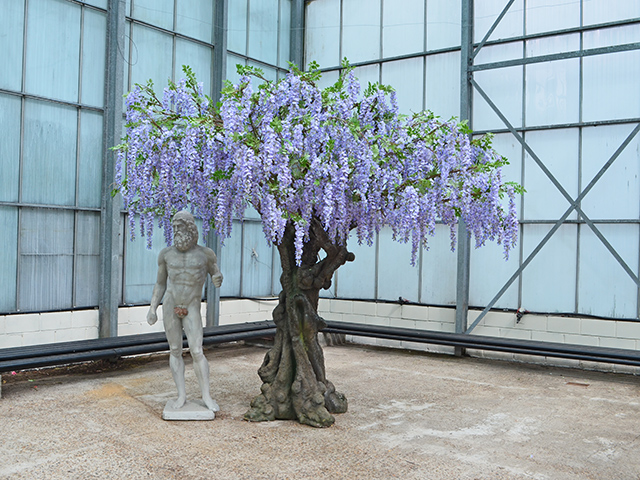 c-lilac-wisteria-web