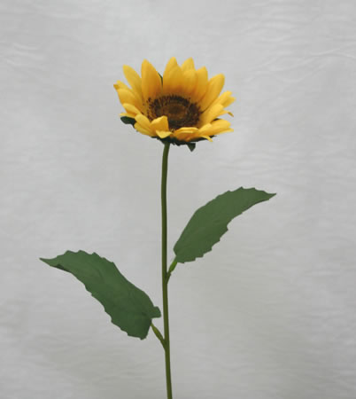 Sunflower Stems