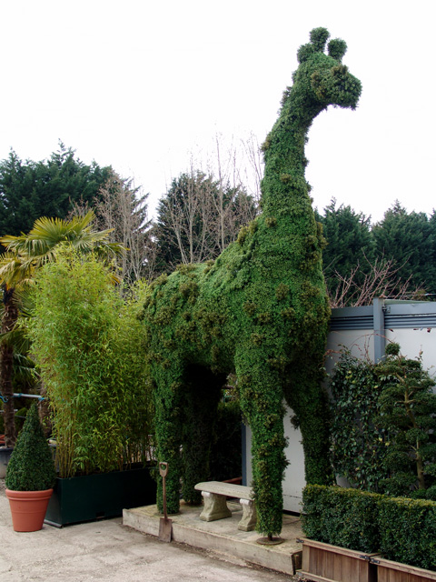 Giant Topiary Giraffe