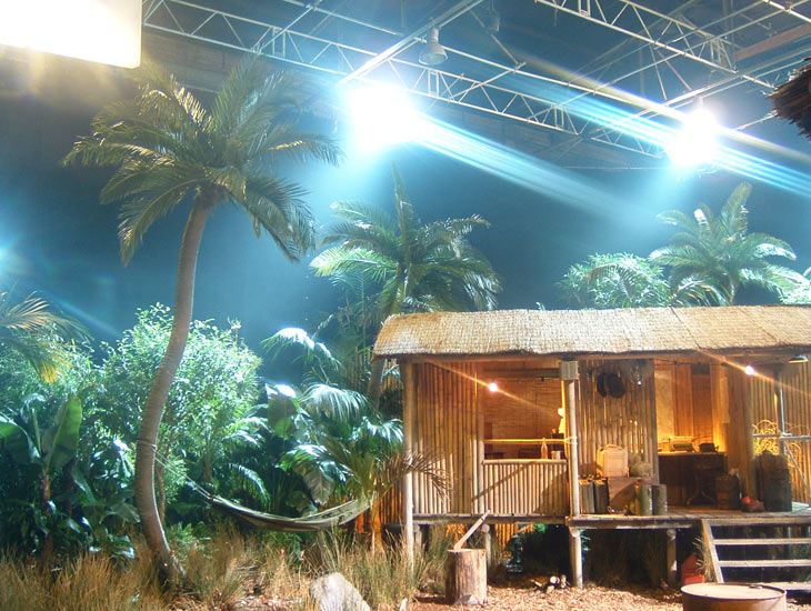 Eight metre art palm trees help establish this tropical forest commercial set.