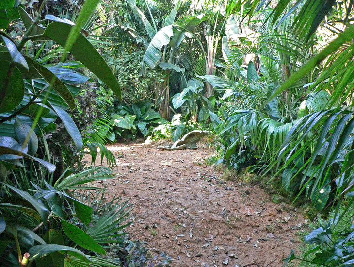 Rainforest Biodome TV Set We created this set in our greenhouse for a major BBC TV drama. 