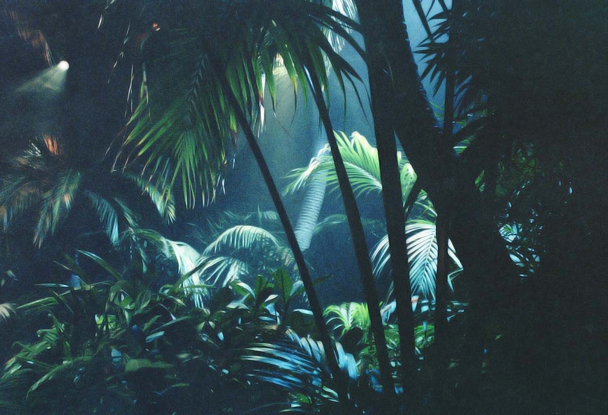 jungle-environment1-730